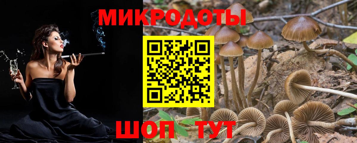 Псилоцибиновые грибы мицелий  Вход с VPN  Курчалой 