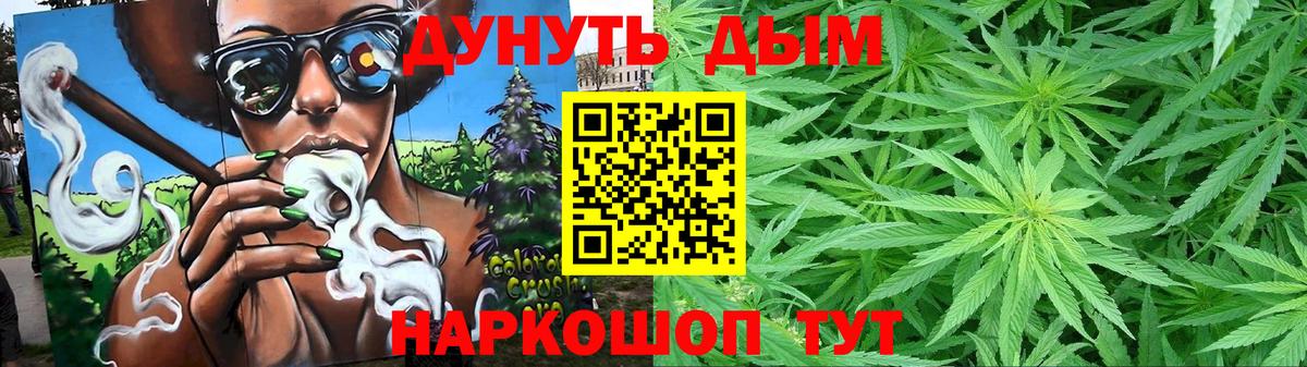 Канабис OG Kush Курчалой